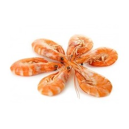 CREVETTES ROSES 500 GRS